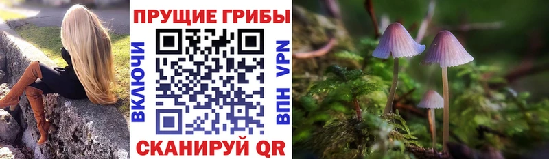 где можно купить наркотик  Гулькевичи  Псилоцибиновые грибы мицелий 